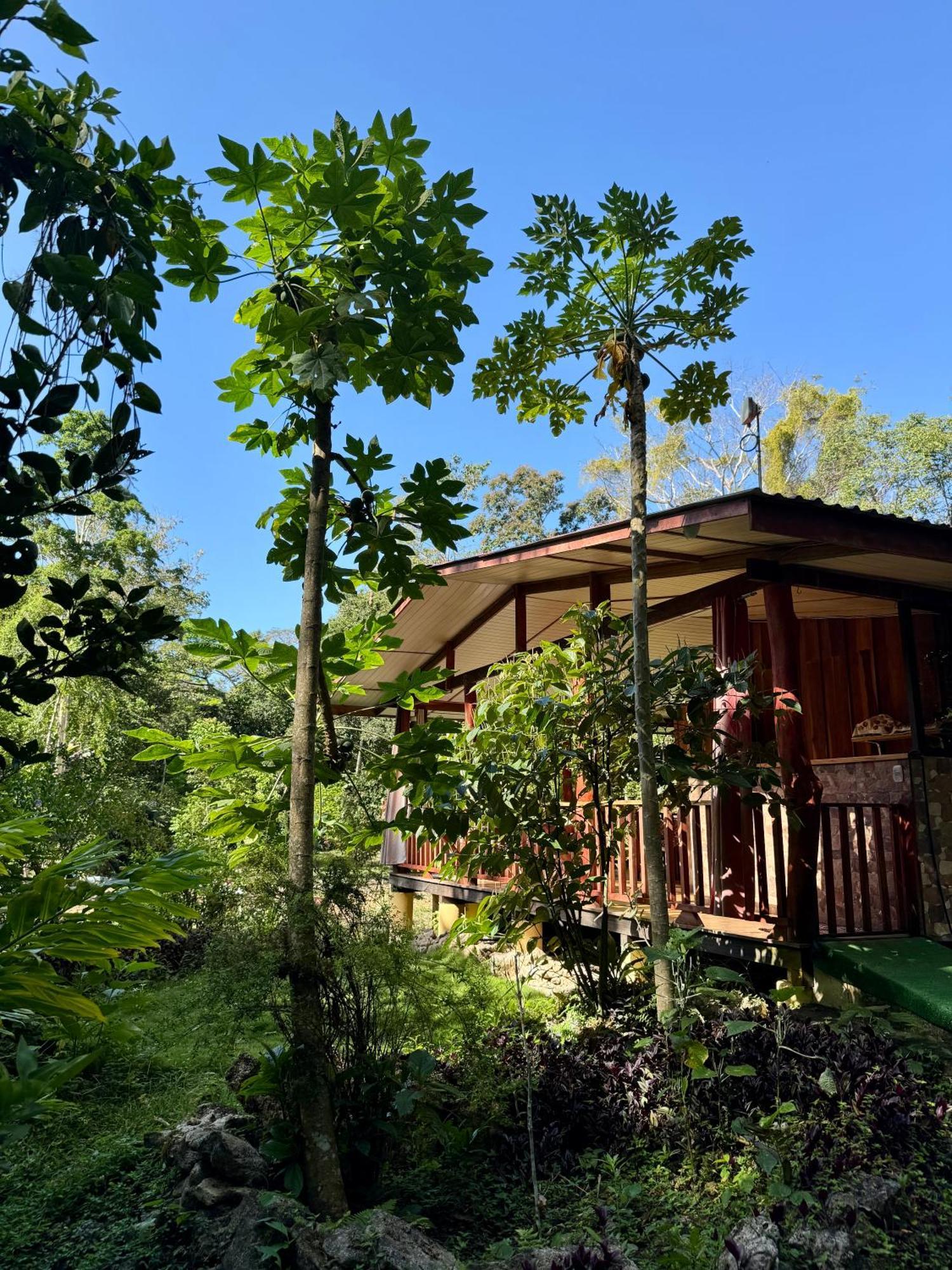 Brigitte'S Ranch Hotel Кахуита Екстериор снимка